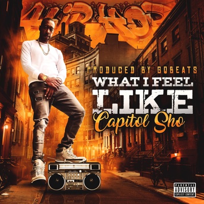 What I Feel Like - Single