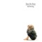 Tears for Fears - Pale shelter