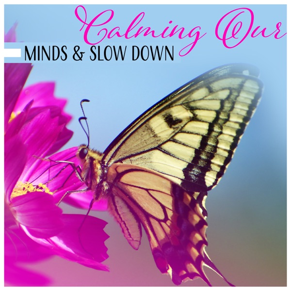 Calming Our Minds & Slow Down - Regeneration Sound Therapy, Stress Relief, Free Spirit, Feel Better, Sleep in Peace