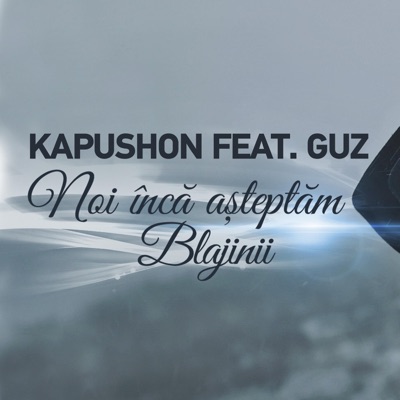 Noi Inca Asteptam Blajinii (feat. Guz) - Single