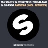 CAREY Ian & ROSETTE & TIMBALAND - Amnesia
