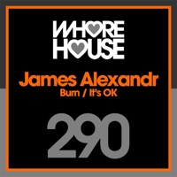 Burn / It's Ok - Single - James Alexandr