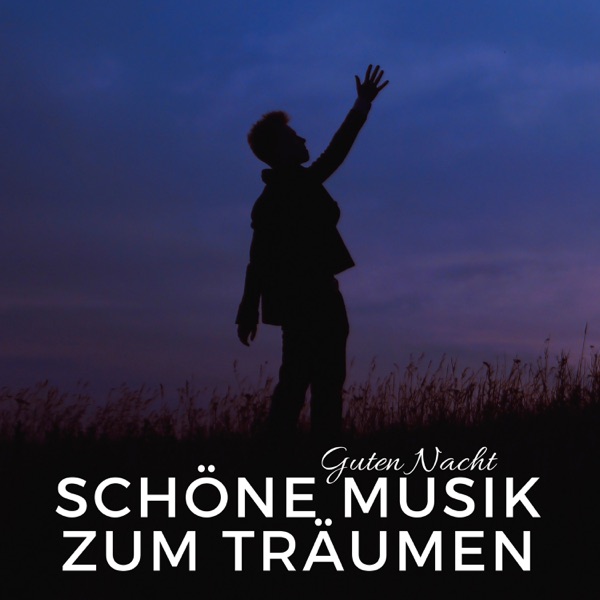 Schöne Musik zum Träumen und zur Guten Nacht, Nachdenken