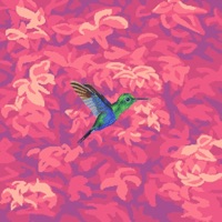 Тропики - Single - XXV кадр