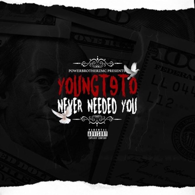 Never Needed You - Single