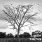 La Llorona (feat. Jack Cassidy) - Tinitus lyrics
