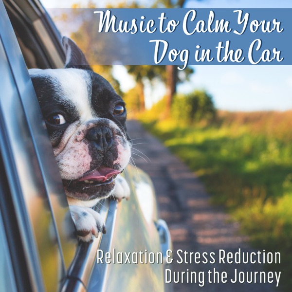 Music to Calm Your Dog in the Car: Soothing Sounds for Animal Companion, Relaxation & Stress Reduction During the Journey, Pet Therapy Ambient, Dogs Behavior and Training