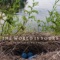 Crow Song - Pale People lyrics