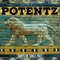 License - Potentz lyrics