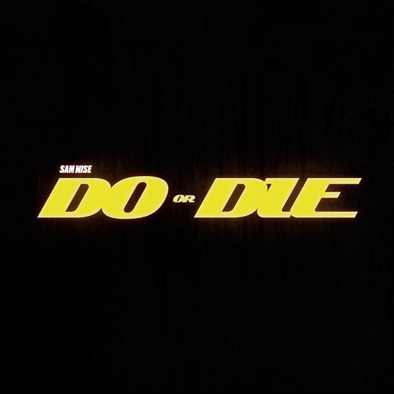 Cover artwork for Do Or Die
