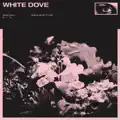 white dove