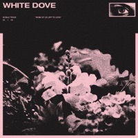 White Dove - Single - Koda