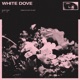 White Dove Single