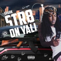 Str8 on Yall - Single - $park