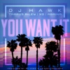 You Want It (feat. Tarrus Riley, DJ X.O. & Abrina) - Single