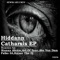 Catharsis (FALKO 33 remix) - Hiddann lyrics
