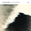 Into the Silence - Avishai Cohen