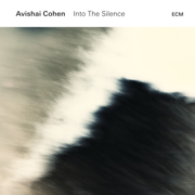 Quiescence - Avishai Cohen