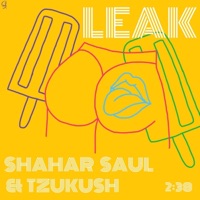 Leak - Single - Tzukush & שחר סאול