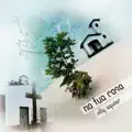 Linha de Producao