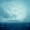 Dis - EP