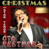 Deck the Halls (A Capella) - Oto Pestner