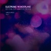 Electronic Wunderland, Vol. 5 (20 Chill out Master Pieces), 2018