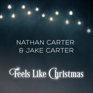 Feels Like Christmas - Single