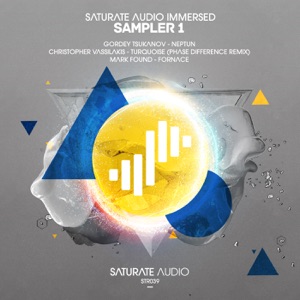 Saturate Audio Immersed Sampler 1 - Single
