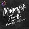 Magnifik - Say Hi (Sebb Junior Remix)