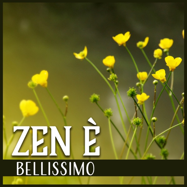Zen è bellissimo - Sperimentare la beatitudine della musica calmante, paradiso di suoni tranquilli, rilassarsi, dormire e meditare