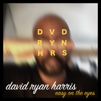 Easy on the Eyes - Single - David Ryan Harris