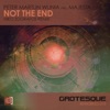 Peter Martijn Wijnia Presents Majesta vs. DJ Shah - Not the End (Niko Zografos Remix)