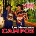 Cueca pa' los bigamos