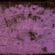 Fade into You - Mazzy Star