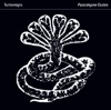 The Age Of Pamparius by Turbonegro iTunes Track 1