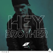 Hey Brother (Syn Cole Remix) artwork