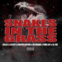 Snake in the Grass (feat. Eclipz, OG Insane, Lil Joe & Yung Jay) - Single - Casper Capone & Killa A