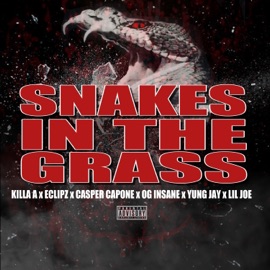 Snakes in the Grass (feat. Eclipz, OG Insane, Lil Joe & Yung Jay) Casper Capone & Killa A