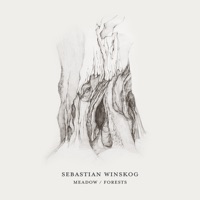 Sebastian Winskog - Meadow