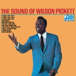 Wilson Pickett - Funky Broadway (2007 Remaster)