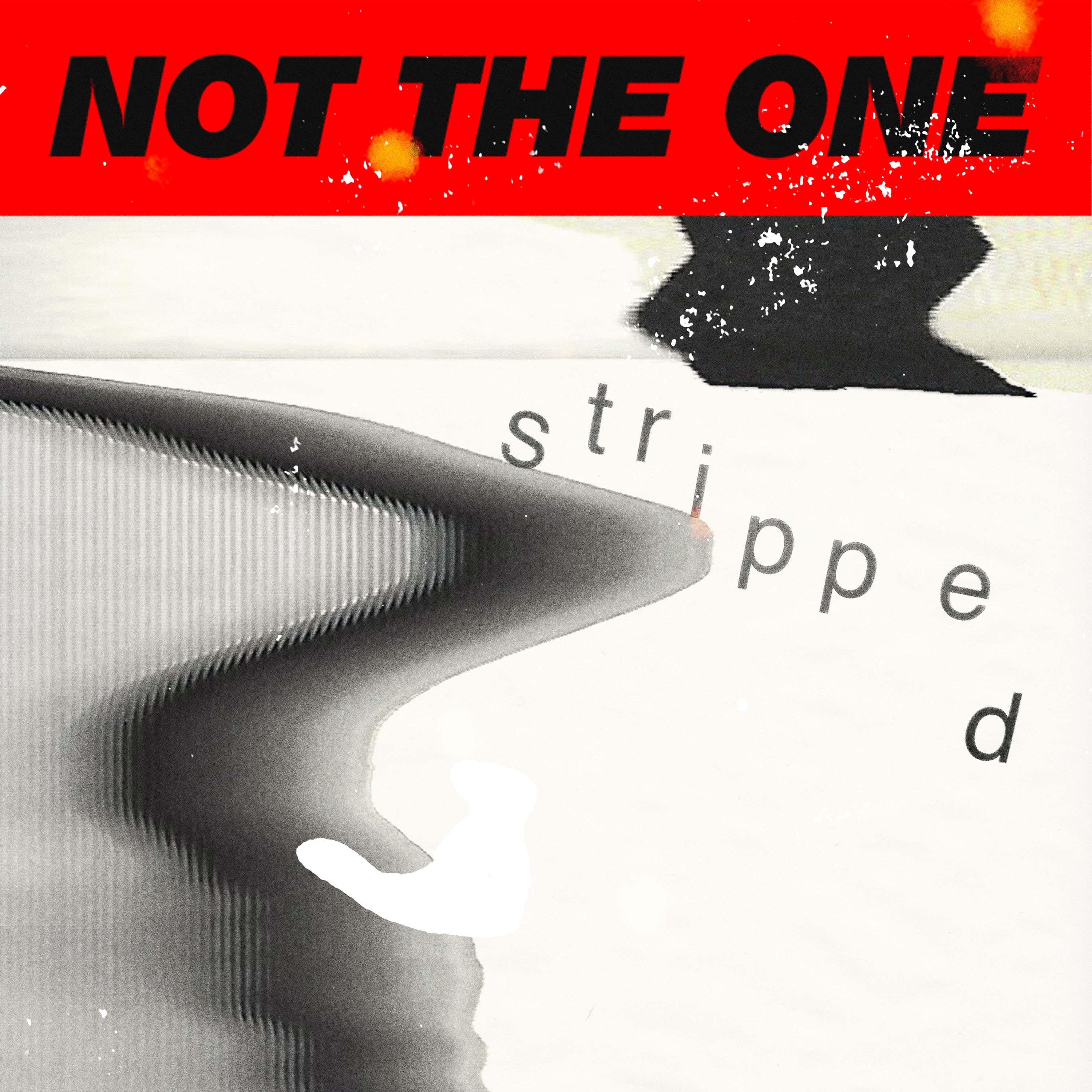 Not the One (Stripped) - Single