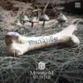 Mushroom Hunter
