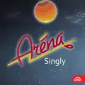 Vášeň nákupní