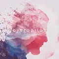 Mirror Reality