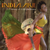 I Am Not My Hair (feat. Akon) - India.Arie