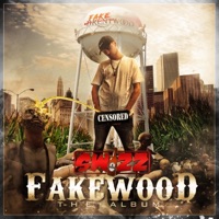 Fakewood - Swizz