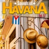 Sounds of Havana, Vol. 17