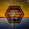 Essential Tropical House Tracks for Summer