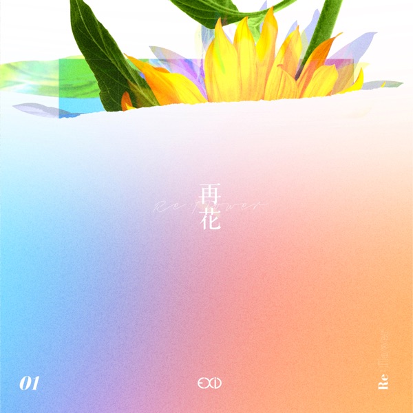 [Re:flower] PROJECT #1 - Single - EXID